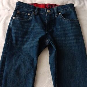 Levi's 511, 10 Regular Waist 25 by L26 Straight Boy